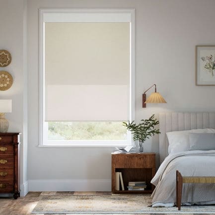 Classic Double Roller Shades