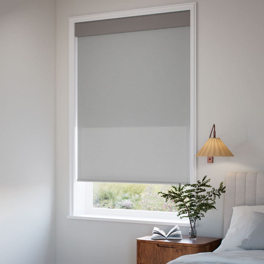 Classic Double Roller Shades 1599
