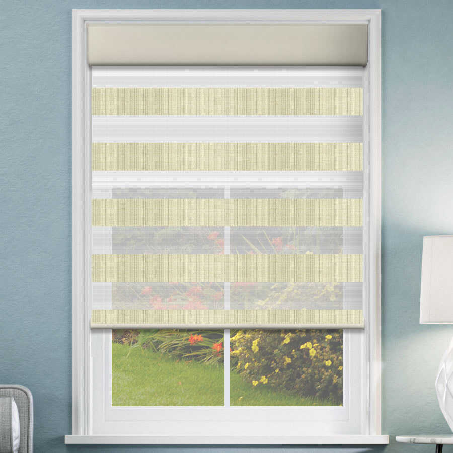 Designer Double Zebra/Roller Shades 1619