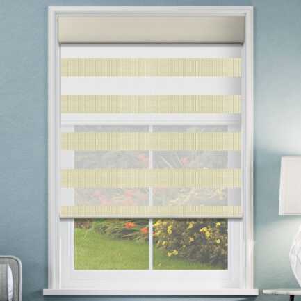 Designer Double Zebra/Roller Shades