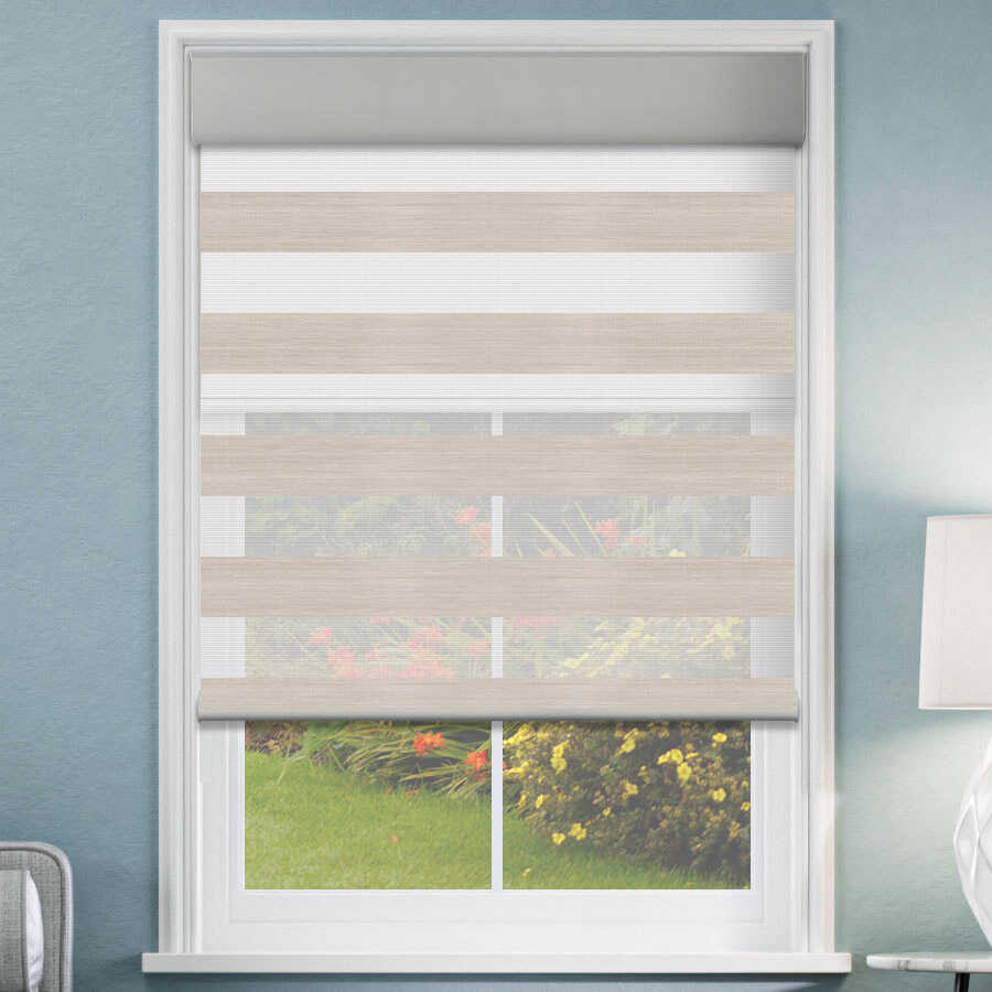 Designer Double Zebra/Roller Shades 1619