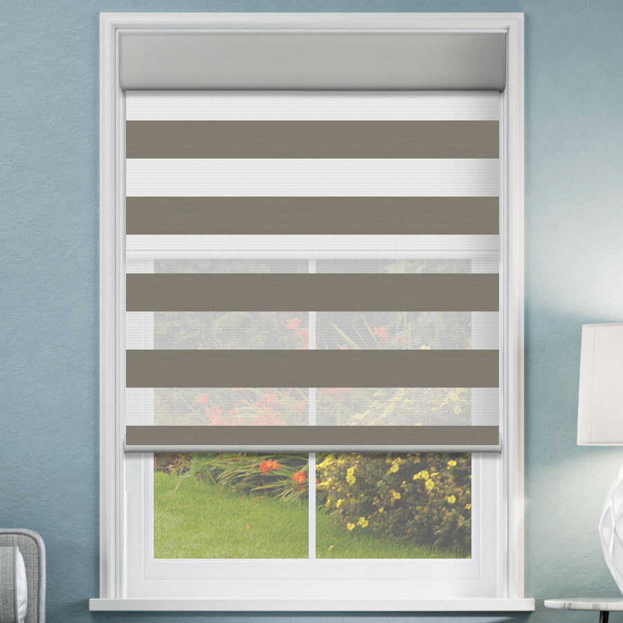 Designer Double Zebra/Roller Shades 1619