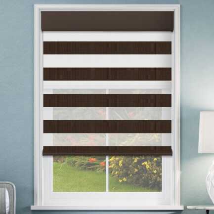 Designer Double Zebra/Roller Shades