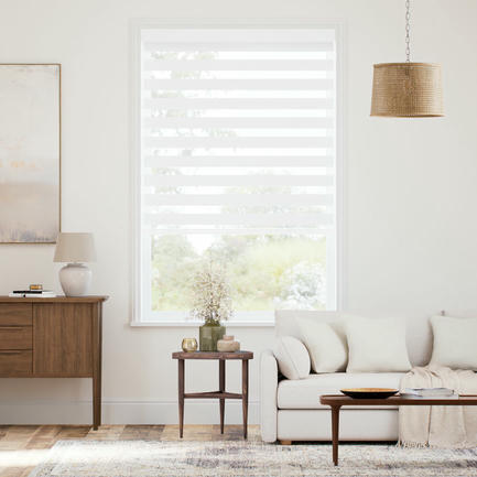 Designer Luxe Light Filtering Zebra Blinds