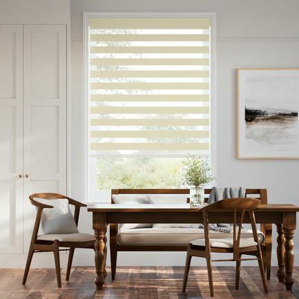 Designer Luxe Light Filtering Zebra Blinds