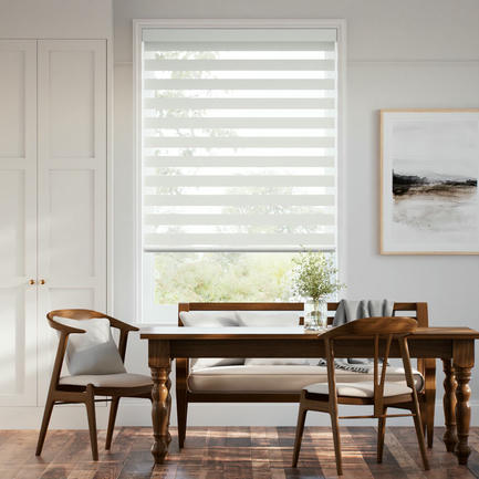 Designer Luxe Light Filtering Zebra Blinds