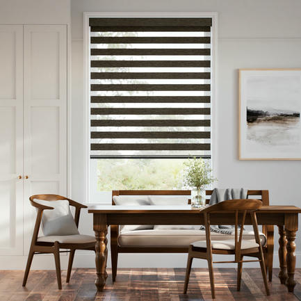 Designer Luxe Light Filtering Zebra Blinds