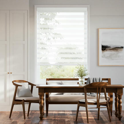 Designer Luxe Light Filtering Zebra Blinds
