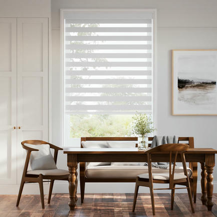 Designer Luxe Light Filtering Zebra Blinds