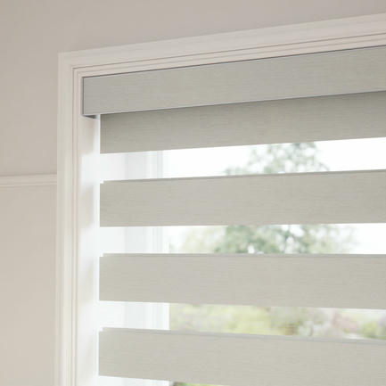 Designer Luxe Light Filtering Zebra Blinds 1729