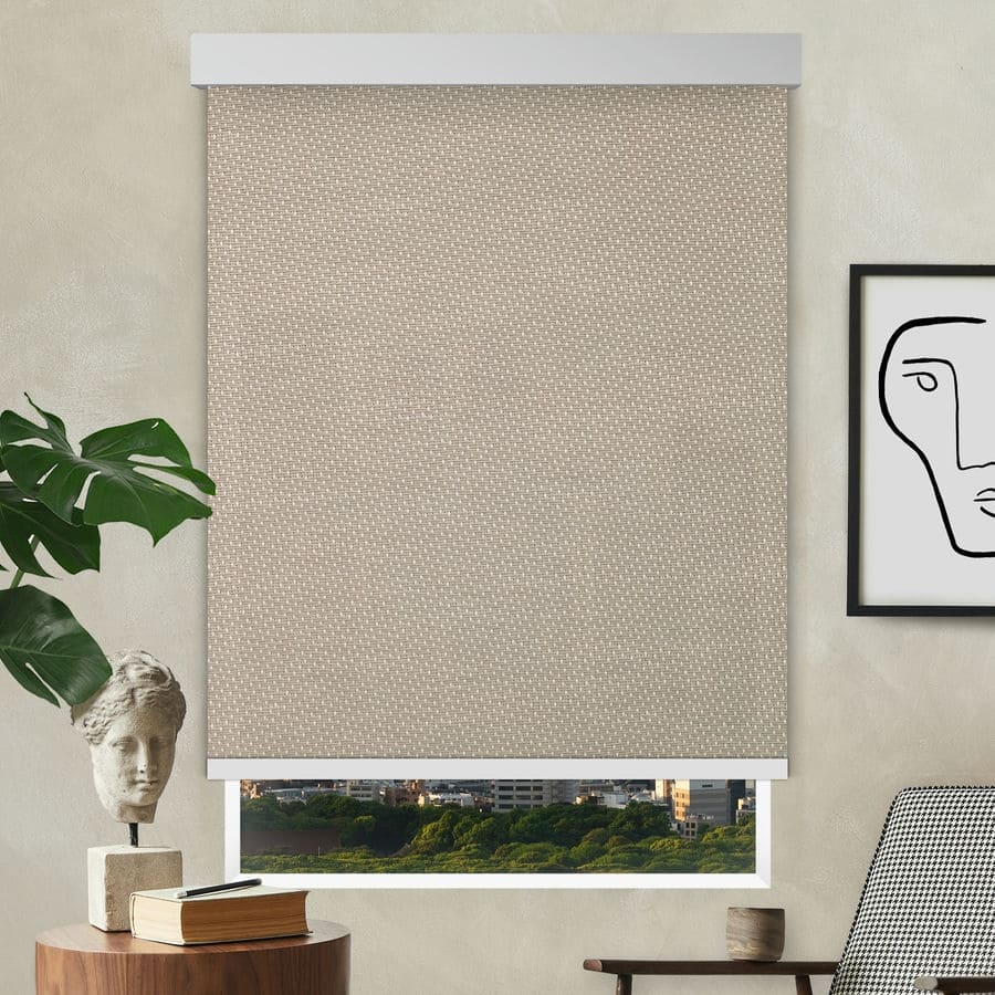 Designer Luxe Solar Shades 1732