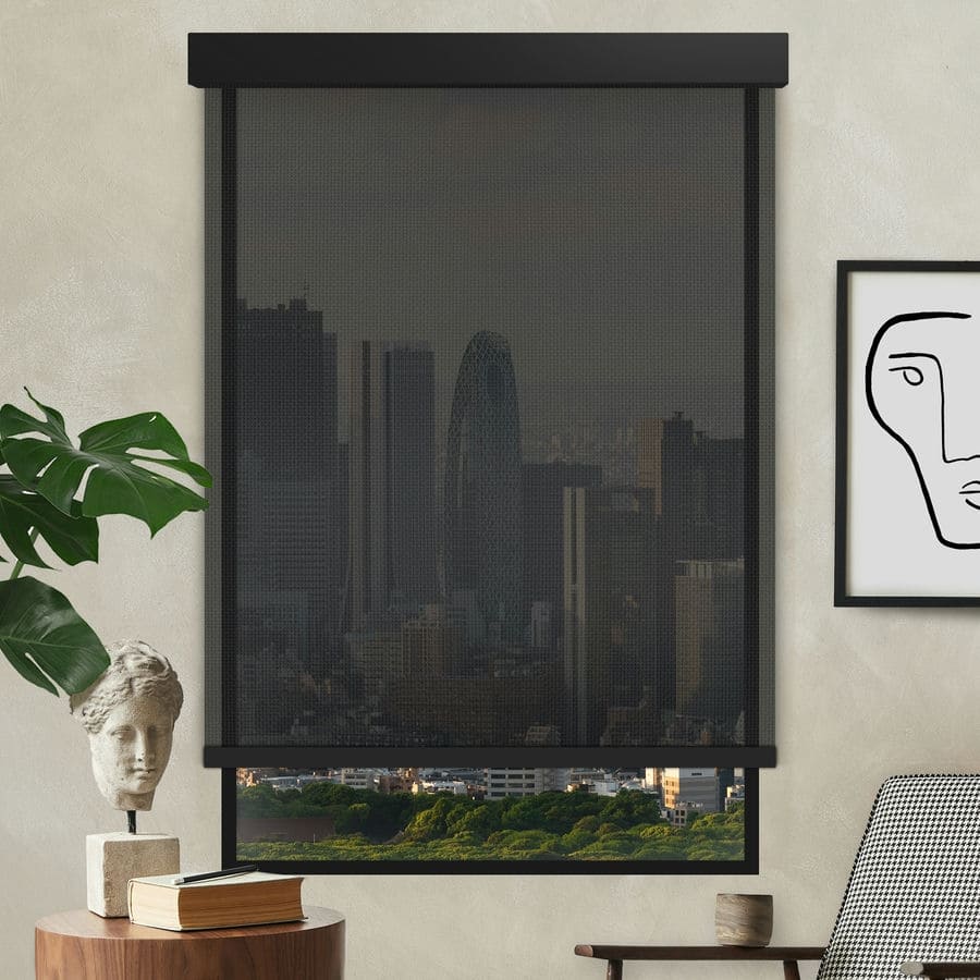 Designer Luxe Solar Shades 1732