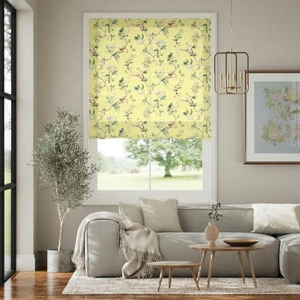 Laura Ashley Roman Shades