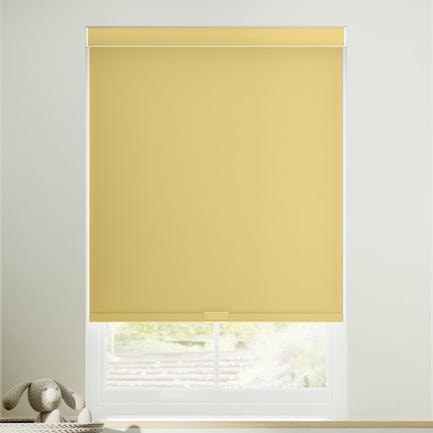 Little Explorer Kids' Blackout Roller Shades