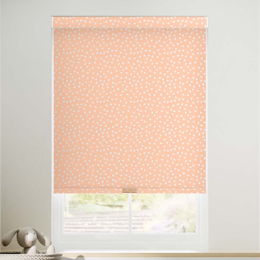 Little Explorer Kids' Blackout Roller Shades 1528