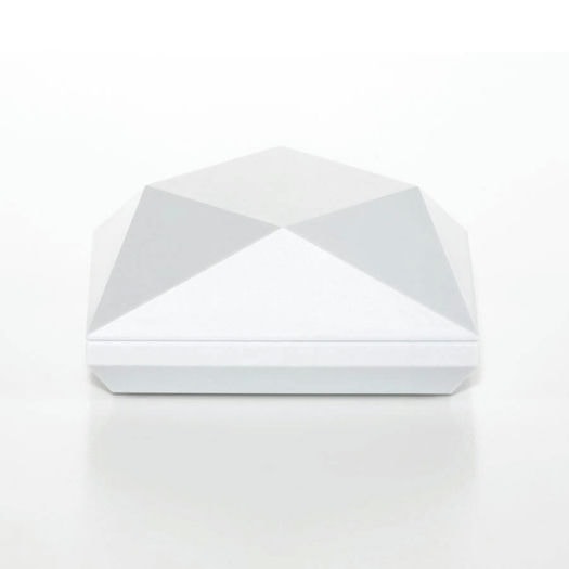 Neo Connect Smart WiFi Controller 1647