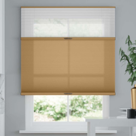 Premium Two Fabric Top-Down Bottom-Up Light Filtering Cellular Shades