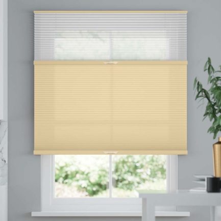 Premium Two Fabric Top-Down Bottom-Up Light Filtering Cellular Shades