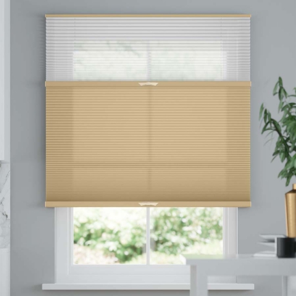 Premium Two Fabric Top-Down Bottom-Up Light Filtering Cellular Shades