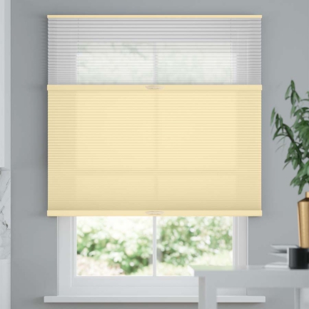 Premium Two Fabric Top-Down Bottom-Up Light Filtering Cellular Shades