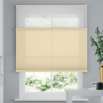 Premium Two Fabric Top-Down Bottom-Up Light Filtering Cellular Shades