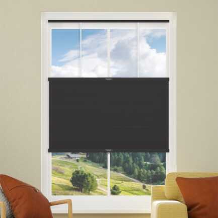Select Top-Down Bottom-Up Blackout Honeycomb Shades