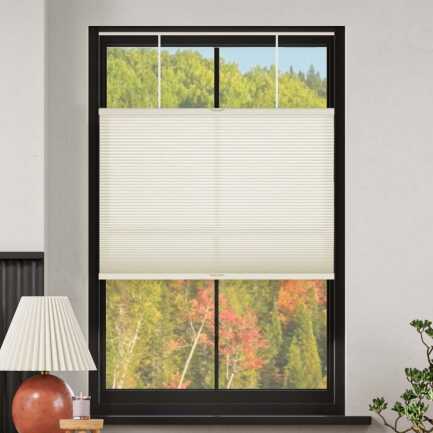 Select Top-Down Bottom-Up Light Filtering Honeycomb Shades