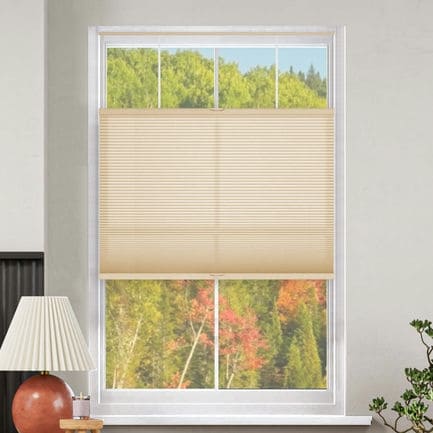 Select Top-Down Bottom-Up Light Filtering Honeycomb Shades