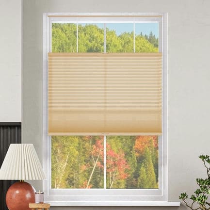 Select Top-Down Bottom-Up Light Filtering Honeycomb Shades