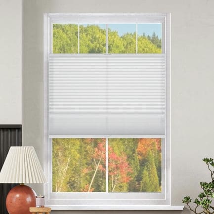 Select Top-Down Bottom-Up Light Filtering Honeycomb Shades