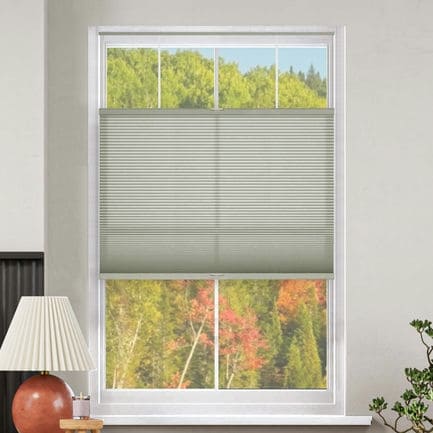 Select Top-Down Bottom-Up Light Filtering Honeycomb Shades