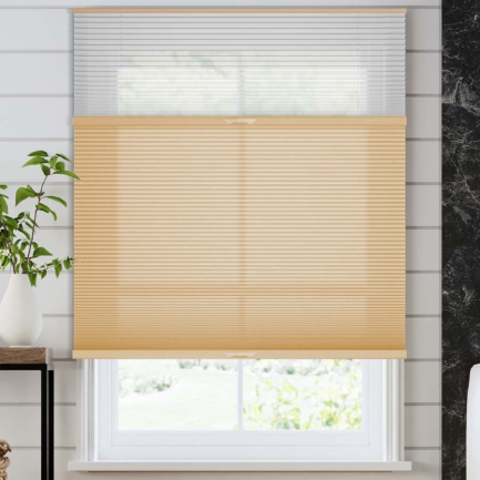 Select Two Fabric Top-Down Bottom-Up Light Filtering Cellular Shades